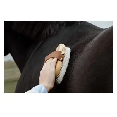 Kleine weiche Bürste für Pferde Grooming Deluxe