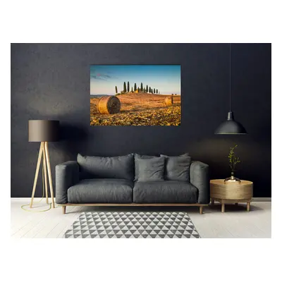 queence Acrylglasbild "Elida" Gebäude  Italien  Landschaft  Tannenbaum 1 Stk. tlg. Fine Art-Print in Galeriequalität