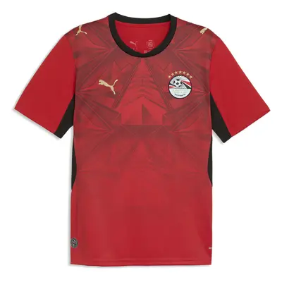 Puma EFA Home Jersey Replica - puma red