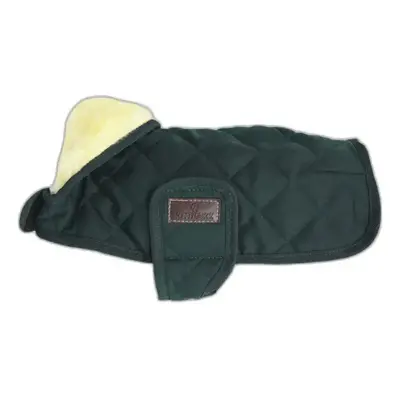 Hundemantel Kentucky Original 160g