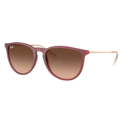 Ray-ban  Erika Rb 4171 Sonnenbrillen Damenbrillen Violett Rund Braun 54mm