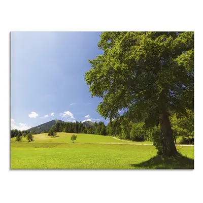 Artland Glasbild "Bayrische Landschaft" Wiesen & Bäume 1 Stk. tlg. in verschiedenen Grössen