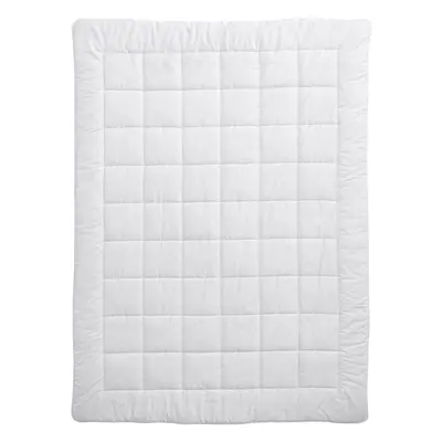 Billerbeck Meisterklasse Duo 240x240 Schurwolle Duvet