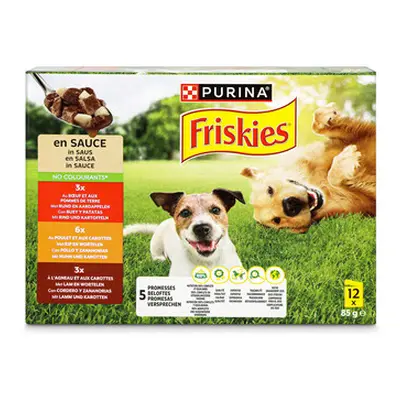 Friskies Hundefutter in Sauce Adult Fleisch 12x85g