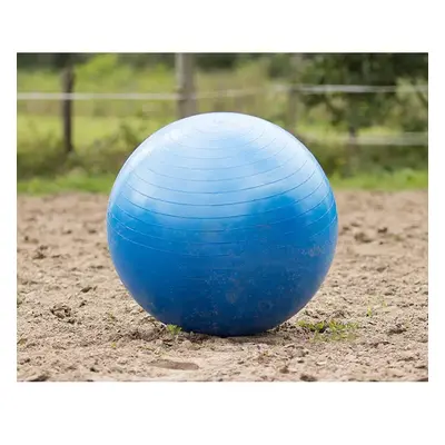 Spielball QHP