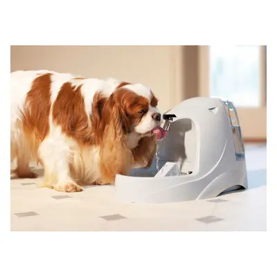 Wasserspender platinium PetSafe Drinkwell