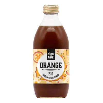 Sodabär Bio-Sirup Orange 330 ml – Wassersprudler Sirup