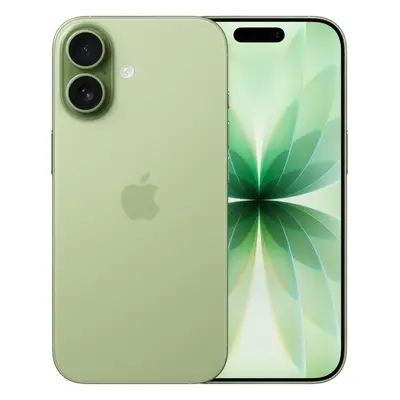Apple iPhone 17 256 GB, Sage, 6.3'', 48 MP, 5G