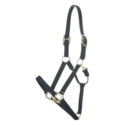 Halfter für Pferd Kentucky Breakaway