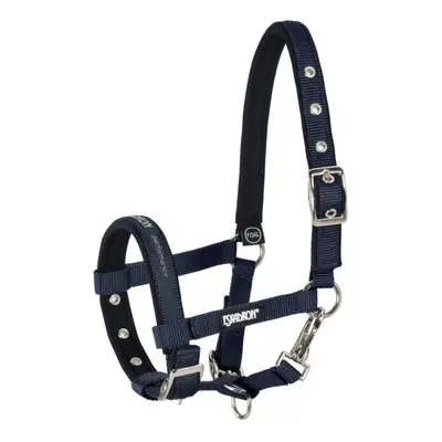 Halfter für Ponys Eskadron