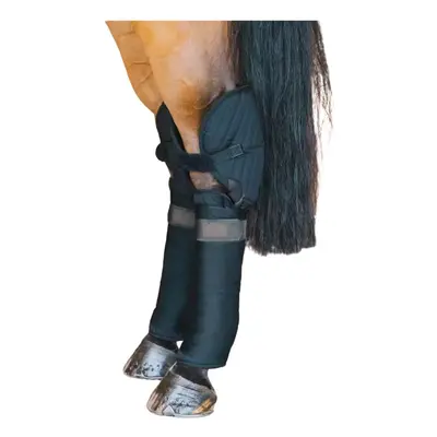 Transportbandage-Schutz Kentucky