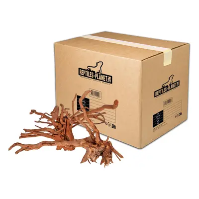 Aquarium-Dekoration Spinnenwurzel Reptiles Planet