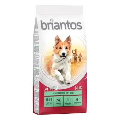 Sparpaket Briantos 2 x Grossgebinde - Adult Lamm & Reis (2 x 14 kg)