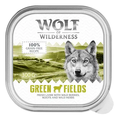 Sparpaket Wolf of Wilderness Adult 24 x 300 g - Green Fields - Lamm