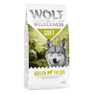 Wolf of Wilderness "Soft - Green Fields" Lamm - getreidefrei - Sparpaket: 2 x 12 kg