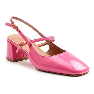 Konstantin starke Bari-36 36