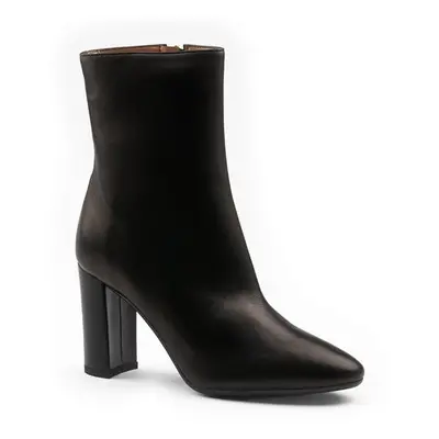 Konstantin starke Neva-37 37