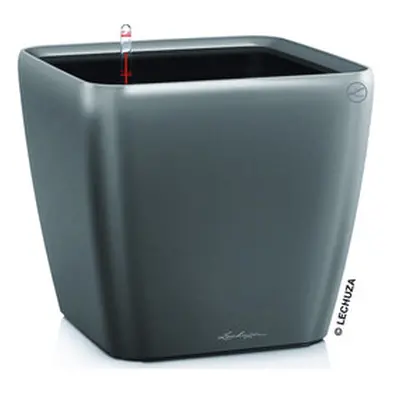 Quadro Premium LS 21 anthrazit metallic