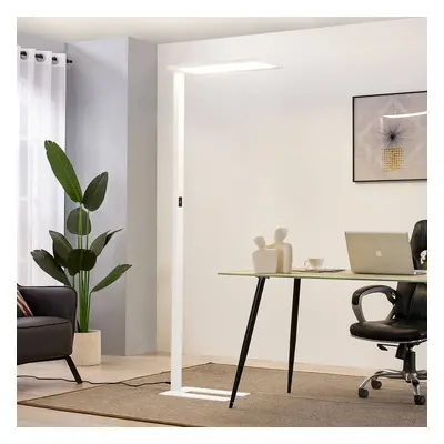 Prios LED-Bürostehleuchte Taronis, weiß, 195 cm, dimmbar