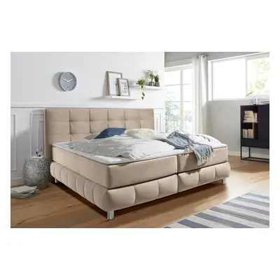 Home affaire Boxspringbett "Salo XXL" in Samtoptik oder Struktur, 6 Breiten in Überlänge 220cm, 4 Härtegrade