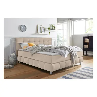 Home affaire Boxspringbett "Salo XXL" in Samtoptik oder Struktur, 6 Breiten in Überlänge 220cm, 4 Härtegrade